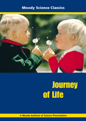 Journey of Life
